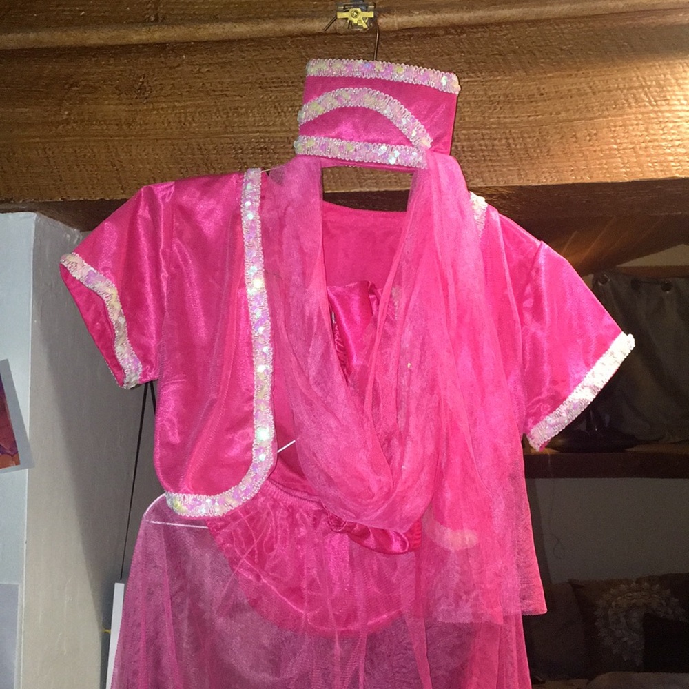 4 piece “I dream of Jeannie” Halloween costume
